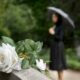 cremation service in Lake Oswego, OR